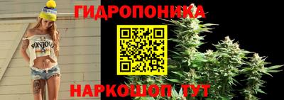 прущие крисы Среднеуральск