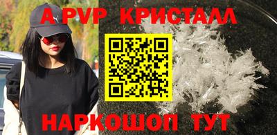 Альфа ПВП Ставрополь